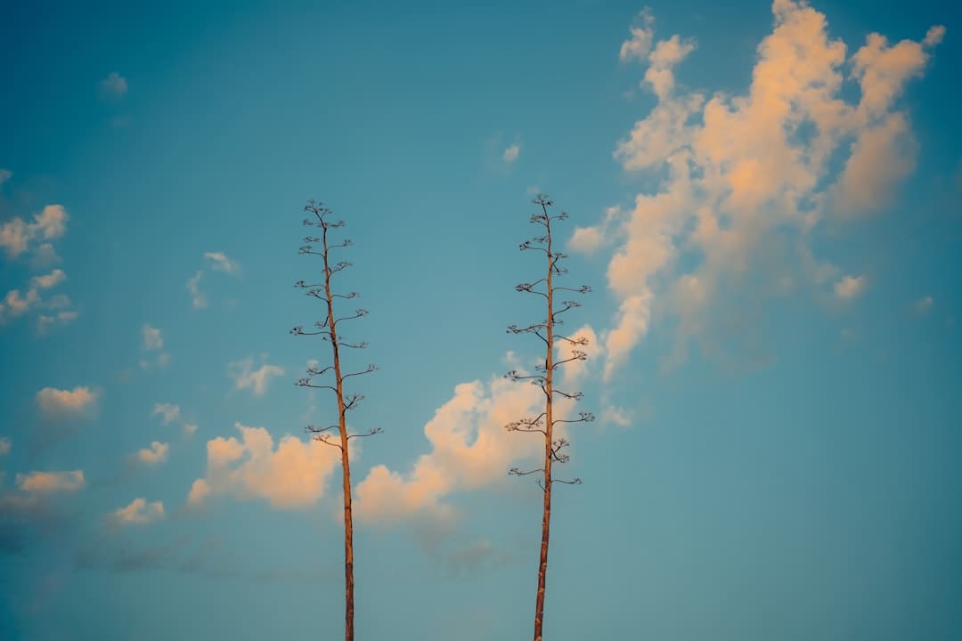 https://static.ws.126.net/163/frontend/images/2022/empty.png
